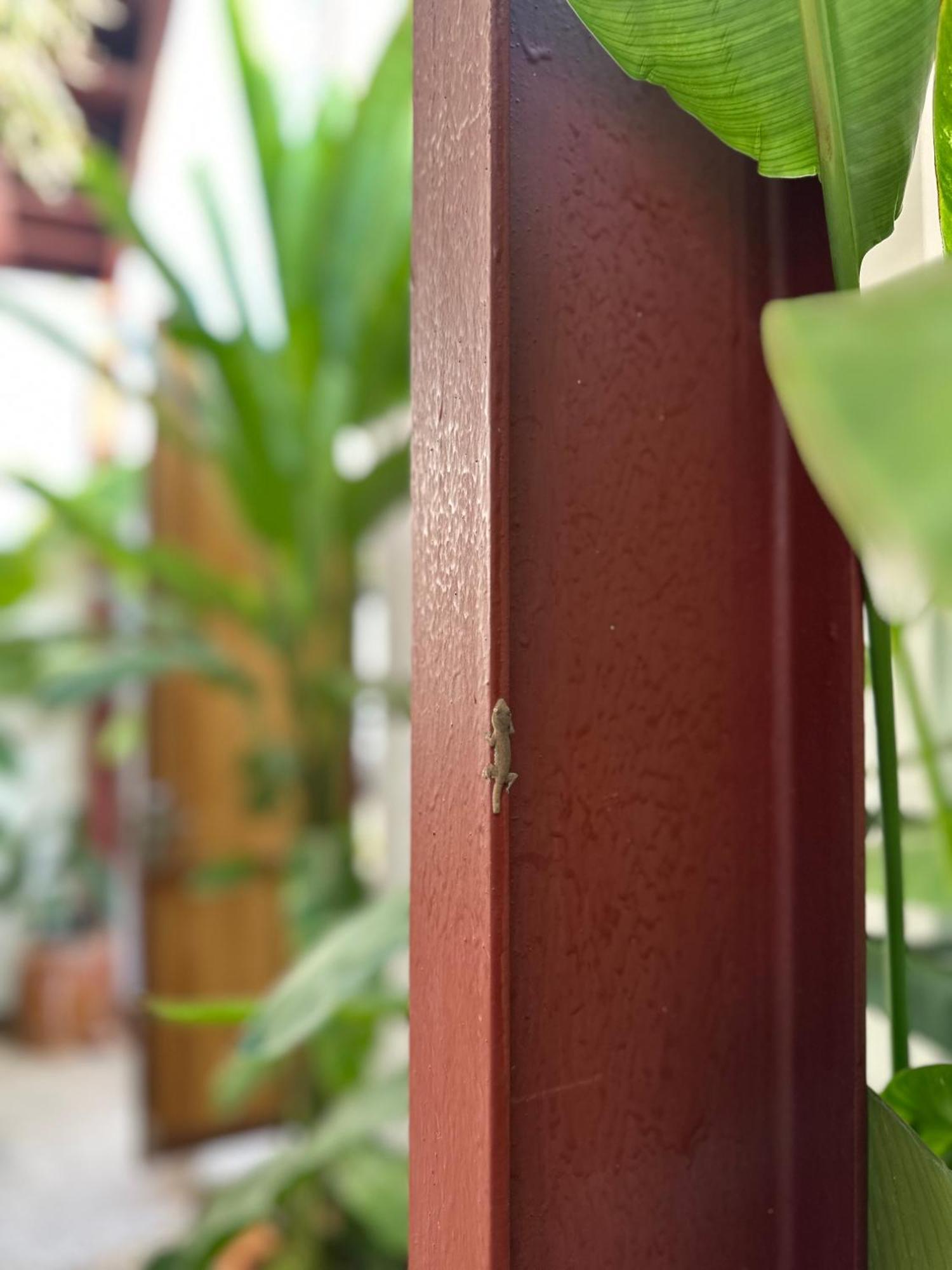 Palmcalina - Phuqui Beach House Cu Lao Thu Esterno foto