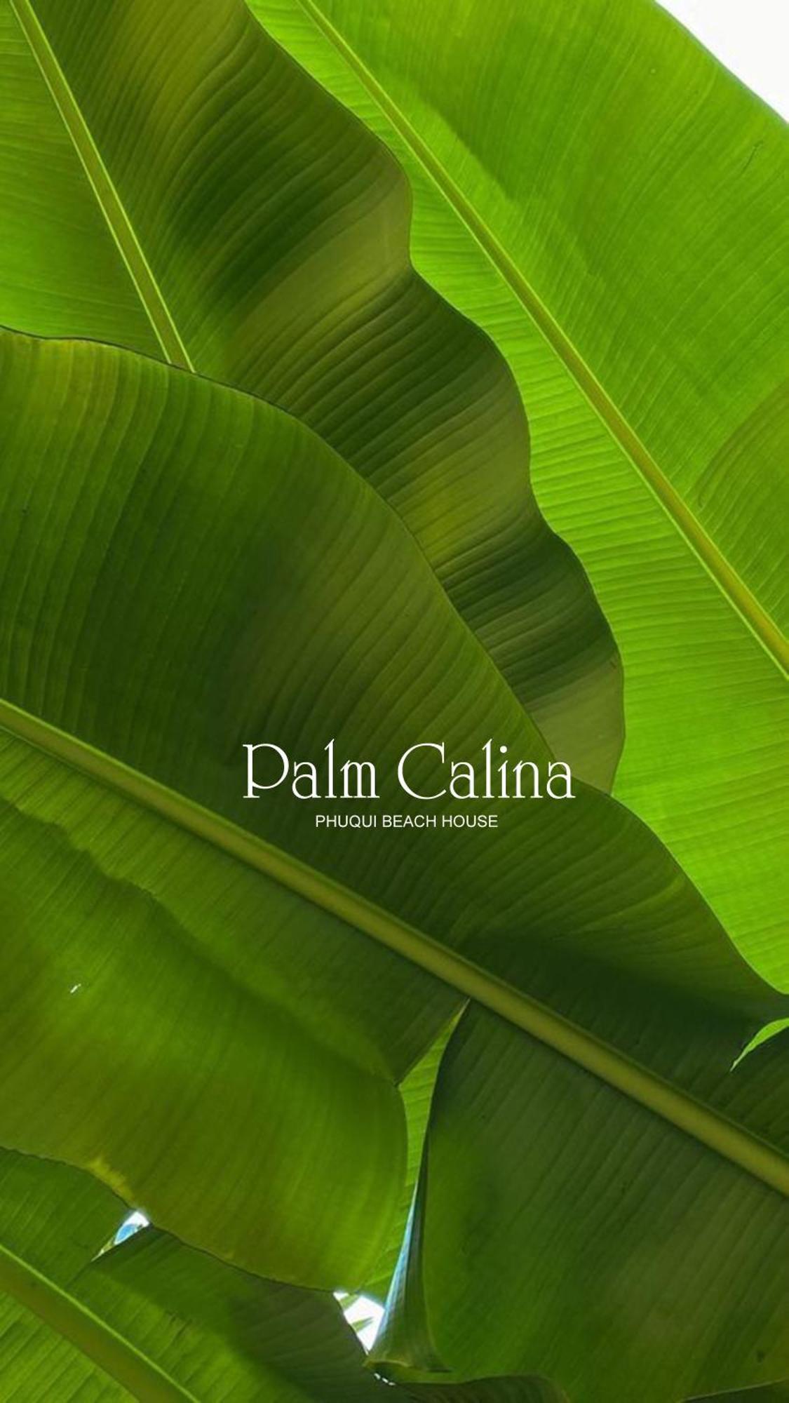 Palmcalina - Phuqui Beach House Cu Lao Thu Esterno foto