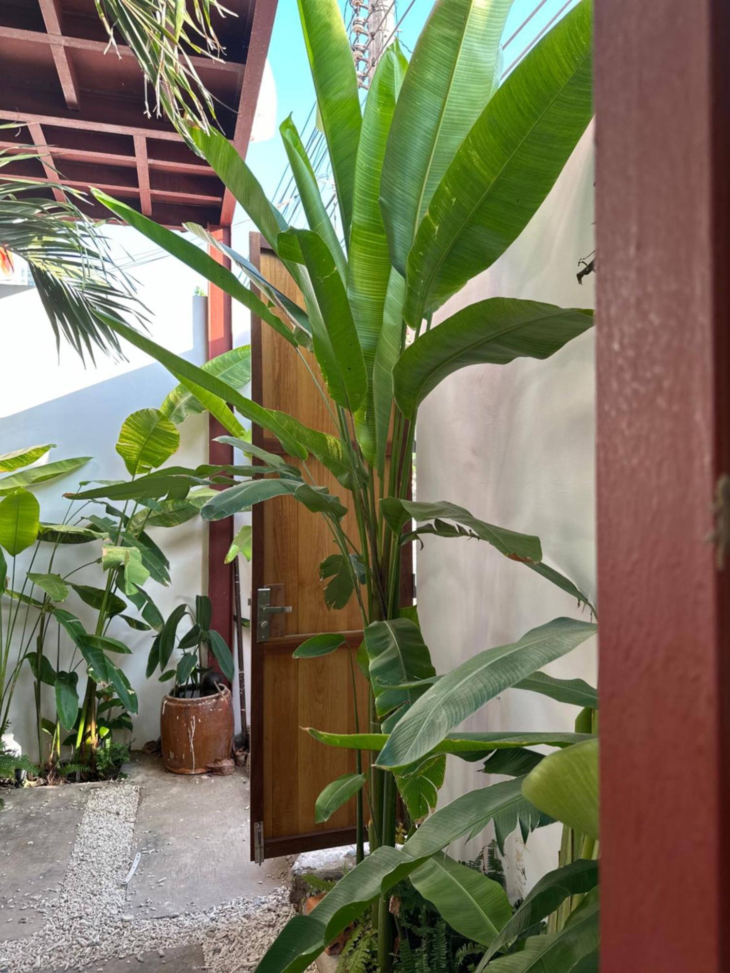 Palmcalina - Phuqui Beach House Cu Lao Thu Esterno foto