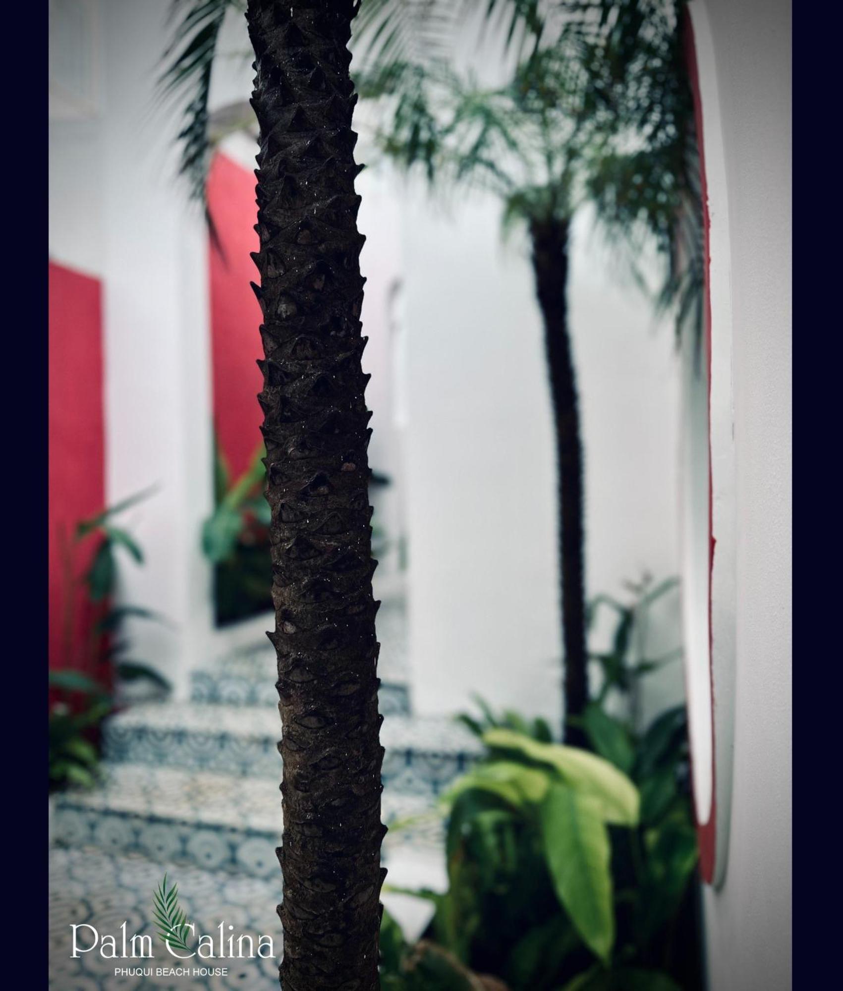 Palmcalina - Phuqui Beach House Cu Lao Thu Esterno foto